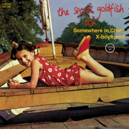 Imagen destacada de grupo: The Secret Goldfish